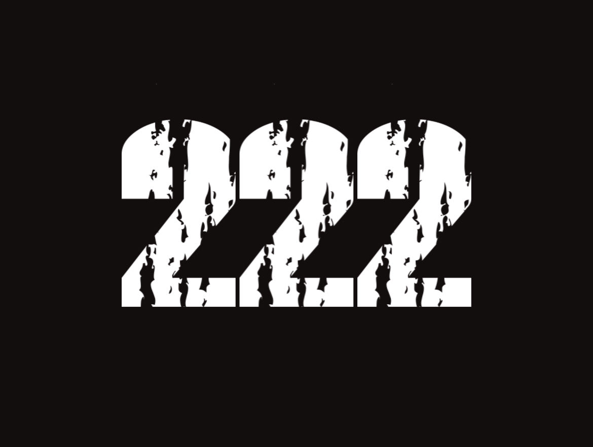 THE 222 APPAREL